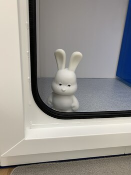 ミライキング(mirai king)/目いただきました