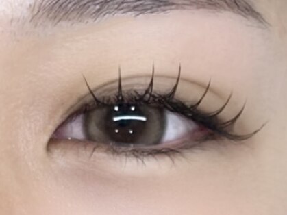 フィッカ(FIKKA)の写真