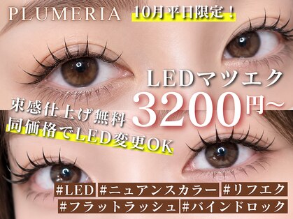 プルメリア 久留米店(PLUMERIA)の写真
