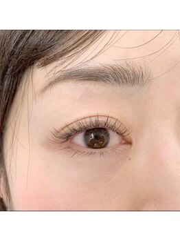 ルピナス 川口(Lupinus)/フラットラッシュ