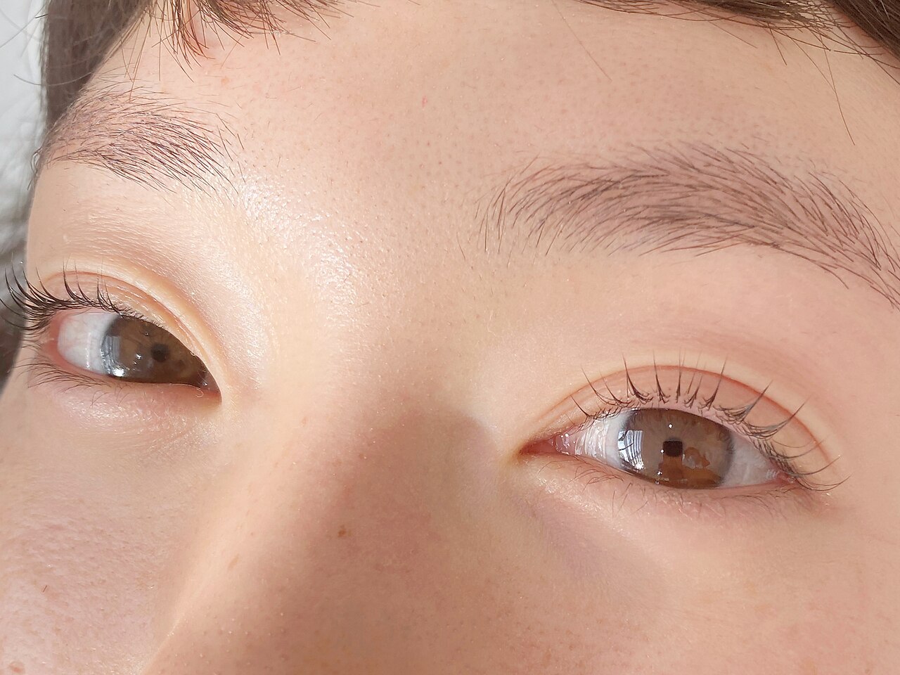 50年代ヴィンテージ大きな瞳や長いまつ毛が美しい大きな招き猫 50年代ヴィンテージ大きな瞳や長いまつ毛が美しい大きな招き猫