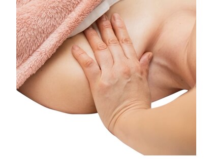 ロサ ケンティフォリア(Rosa centifolia)の写真