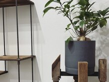 フォルクネイル(:volk nail)/