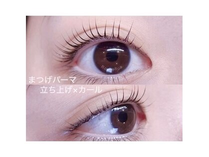 ロシェルア(Roshellua)の写真