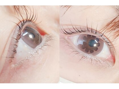 LOTUSの写真