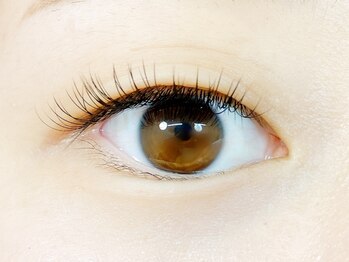 ニジュウバンチ クダマツ(20Banchi Kudamatsu)/フラット100本、太さ0.15