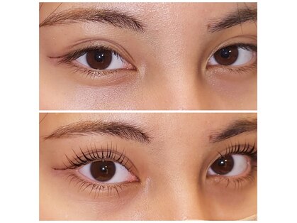 ラビッシー(Ravissy)の写真