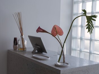 ピブ(PIBU)/受付２