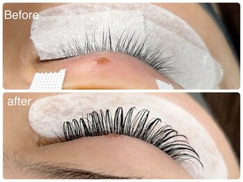 ハナビ(hanabi)/デザインキープラッシュ240本