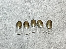 ★定額Simple ¥6980★