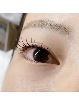 ラヴィータエベッラ(La Vita e Bella)/フラットラッシュ120本+下まつげ