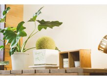 クローバー整体院の雰囲気(落ち着いた室内で施術を受けられます♪)