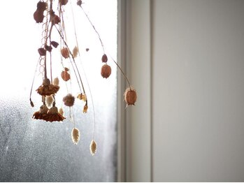 ブルーバード(BLUE BIRD)/