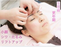 アキュピタル(acupital)
