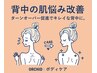 【背中ニキビケア】背中全体の毛穴洗浄・光照射・イオン導入・高保湿パック