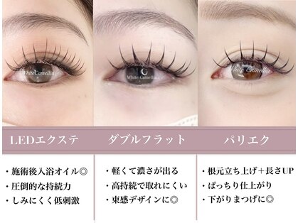 ホワイトカメリア 梅田茶屋町店(White Camellia)の写真