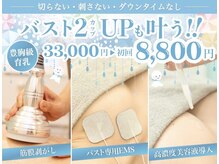 美人バスト 宇都宮店