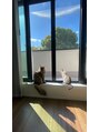 レアナル 川崎店(Leanalu) ミヌエットとシンガプーラ飼ってます(^^)毎日癒されてます♪
