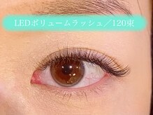 セル 恵比寿店(cel)/LEDボリュームラッシュ/１００束