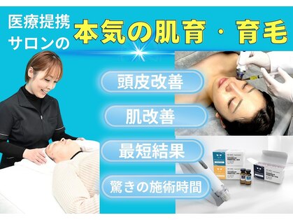アンマンドの写真