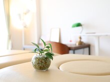 オステオパシック メディスン 岡町/