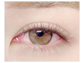 アイブロウ アンド アイラッシュ アイランド(ISLAND)/フラットラッシュ120本