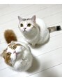 ラ ピラティス 表参道店(La pilates) 二匹の猫ちゃんを飼っています♪