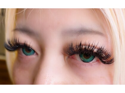 ティール(Teal)の写真