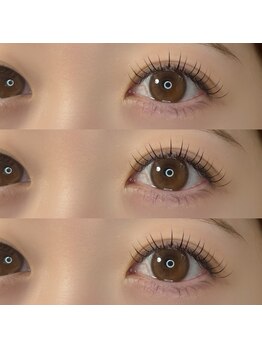 シー 鷺沼(sii)/フラットラッシュ120本