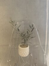 ソア 梅田店(Soa.)/小さな癒し