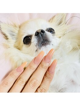 クリーク(CREEK)/