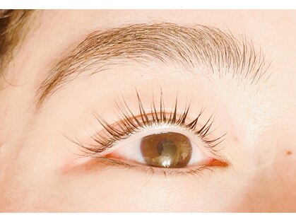 マキ(maki)の写真