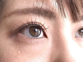 カバー(COVER)/フラットラッシュライトブラウン