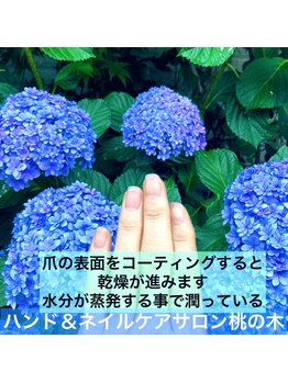桃の木 吉祥寺店/爪の水分は水蒸気で保たれている
