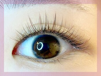 ミュウ(mieux)/パリエクフルカラー*120本