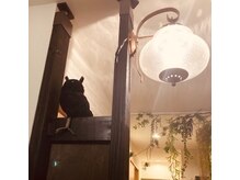 顔あげ屋 名古屋店の雰囲気（サロンの雰囲気も楽しい♪くつろげる空間をご提供しております）