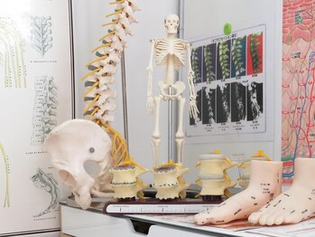 マリモ(MARIMO)/カイロプラクティックとは