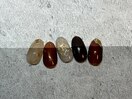 ★定額Standard ¥7980★