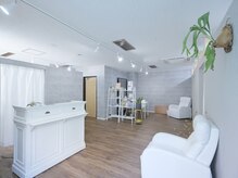 ヴィノ(VINNO)/店内写真