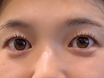 ハウオリ 高津 溝の口(Hauoli)/ラッシュリフト/まつ毛パーマ