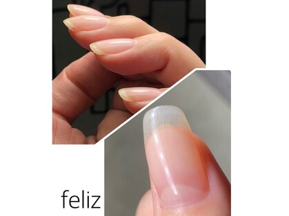 フェリス(Feliz)の写真