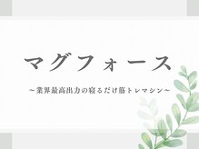 シエナ(ciena)/マグフォース