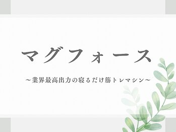 シエナ(ciena)/マグフォース