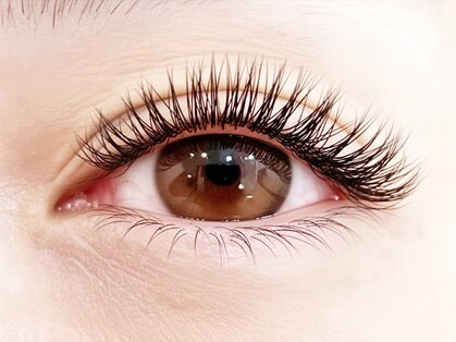 レポ(lepo)の写真