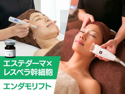 セラピアの写真