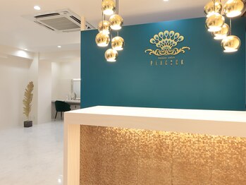 ピーコック(peacock)/フロント