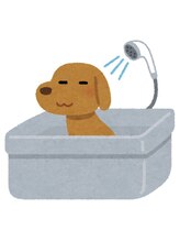 リノ(Lino)/【２】よもぎ蒸し施術の流れ