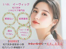 イーヴィック シジョウホリカワ(E-Vik Shijo Horikawa)