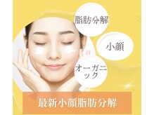 スプレール 水戸店/脂肪燃焼【小顔レモンボトル】