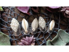 アート８本~コース☆